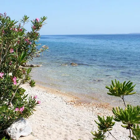 Appartement By The Sea Mandre, Pag - 22885
